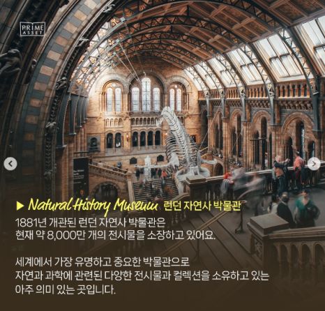 런던 자연사 박물관 내부